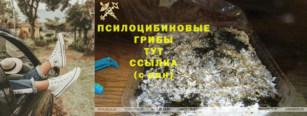 PSILOCYBIN Балахна
