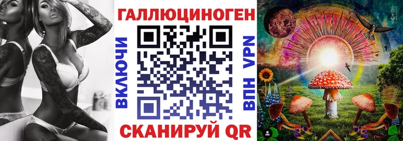закладки Заречный Псилоцибиновые грибы Psilocybe